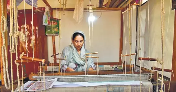 Contemporary Innovations in Kani Weaving